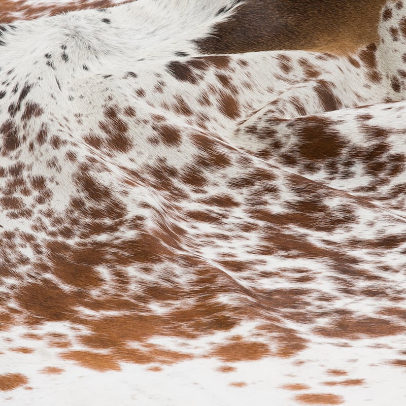 Natural Cowhide Salt & Pepper- Longhorn 