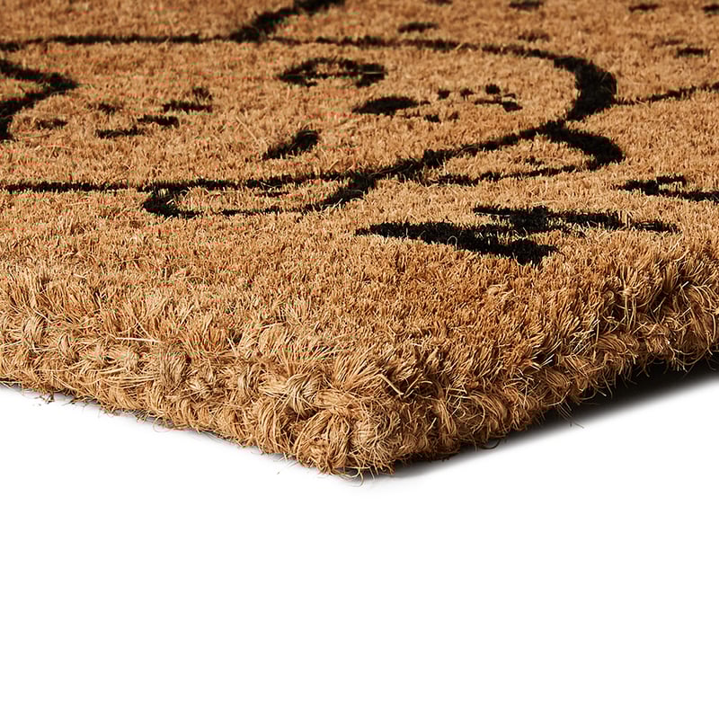 Meow Coir Door Mat in Regular Thickness