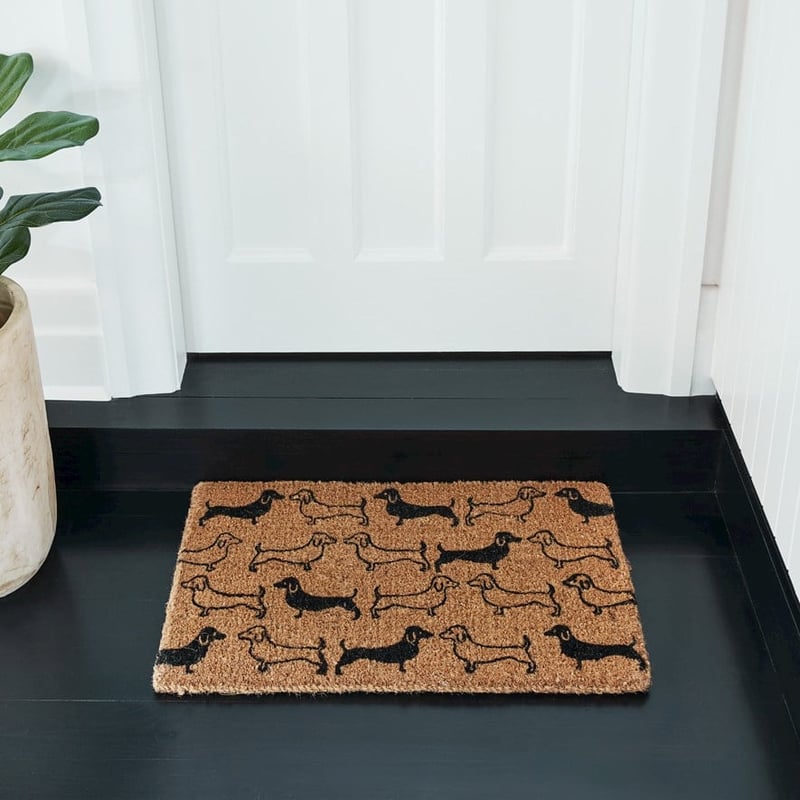 Dachshunds Coir Door Mat in Regular Thickness