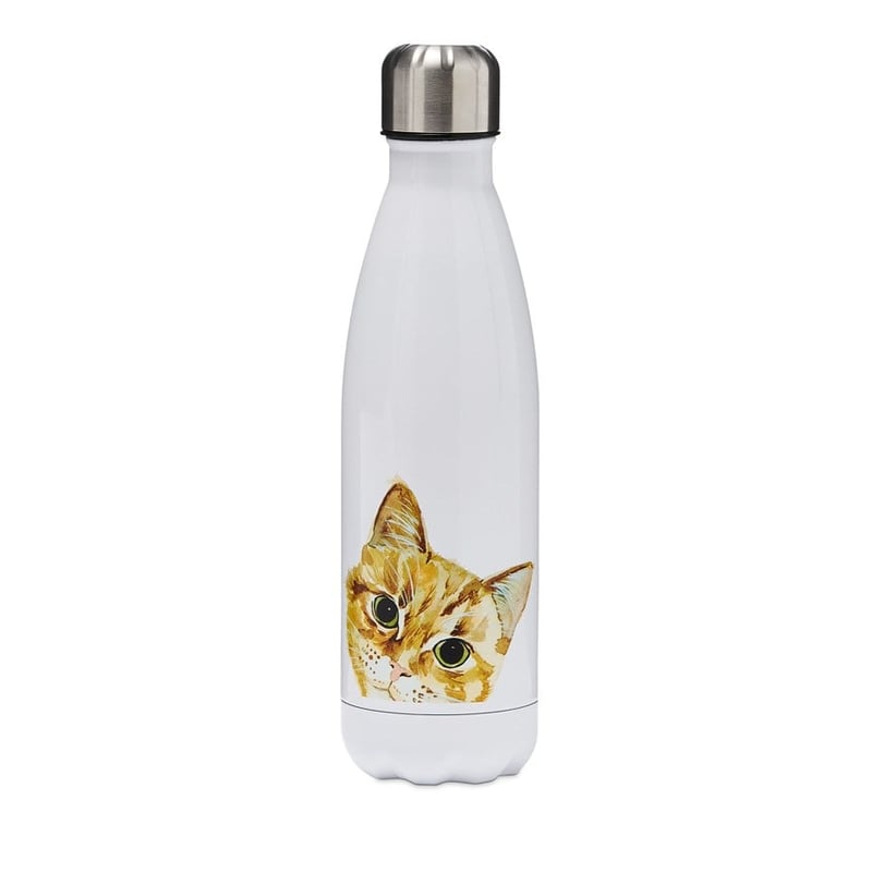 Cat Collection Tabby Drink Bottle