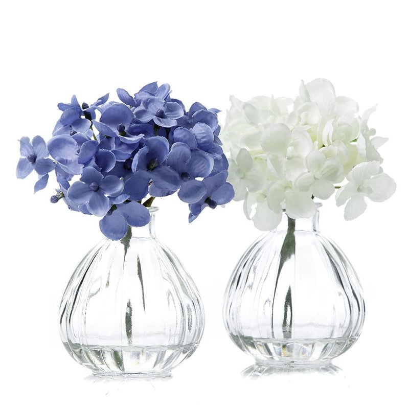 Decorative Blue Hydrangea