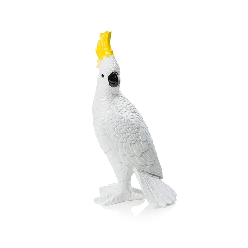 Summer Bird Cockatoo