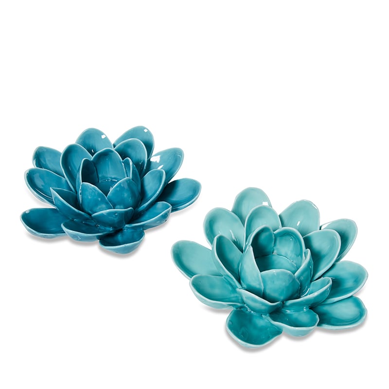 Rosey Petals Teal 