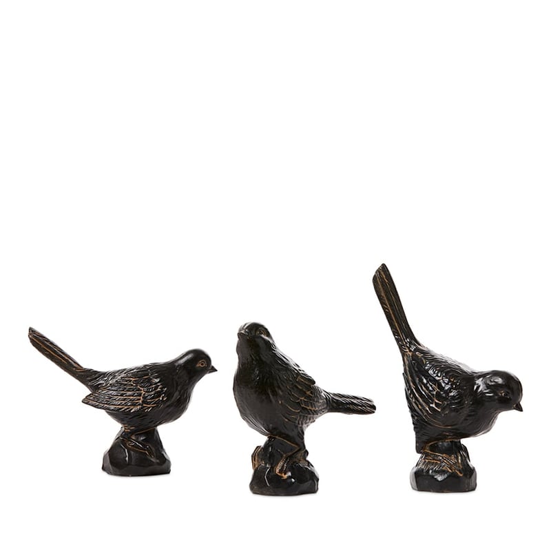 Park Bird Brown Ornament Looking Down