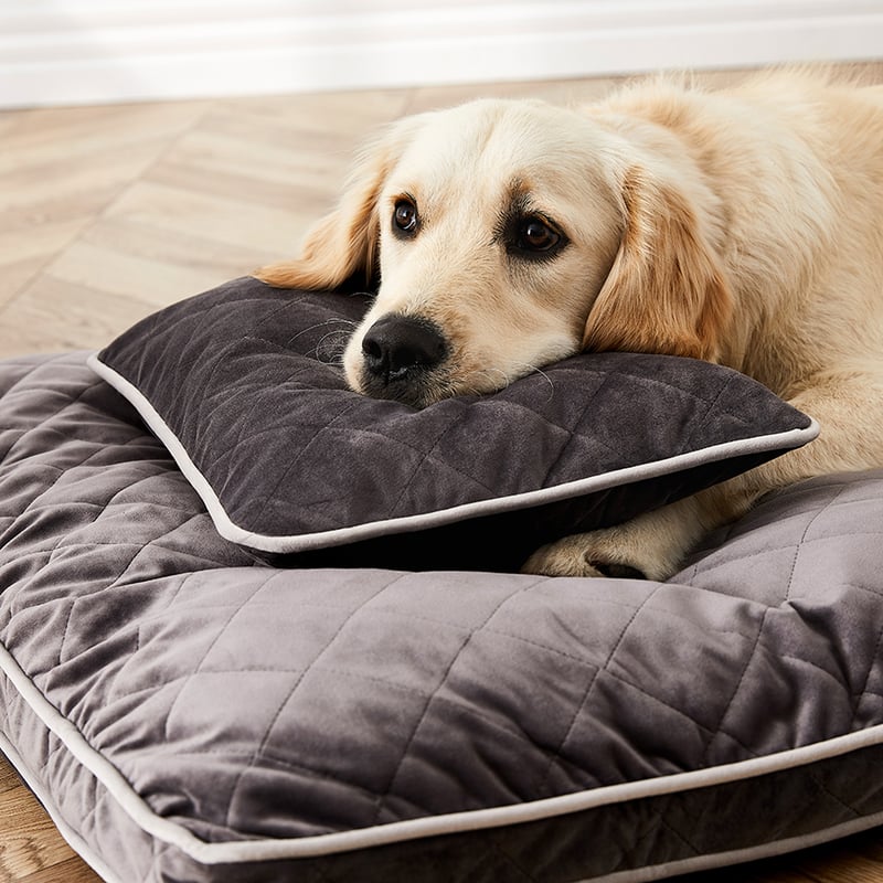 Comfort Collection Plush Velvet Quilted Coal Snuggle Mat Cover