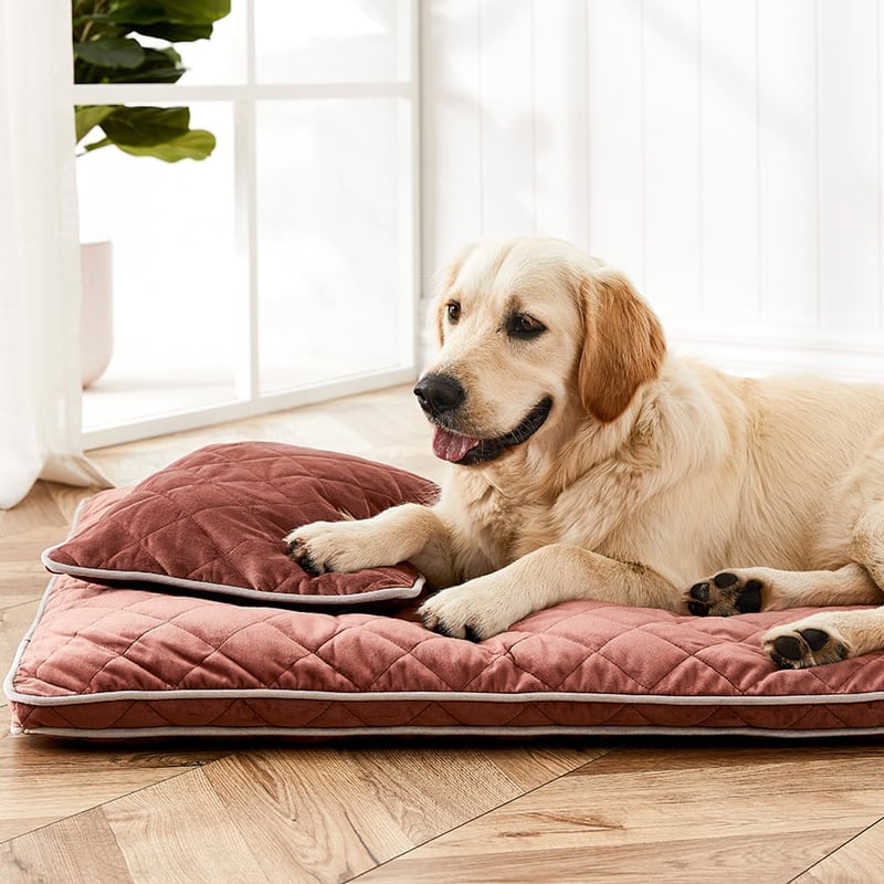 Comfort Collection Plush Velvet Pillowcase Brick Red