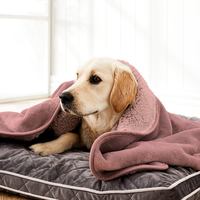 Comfort Collection Ultra Soft Sherpa Blanket Pink
