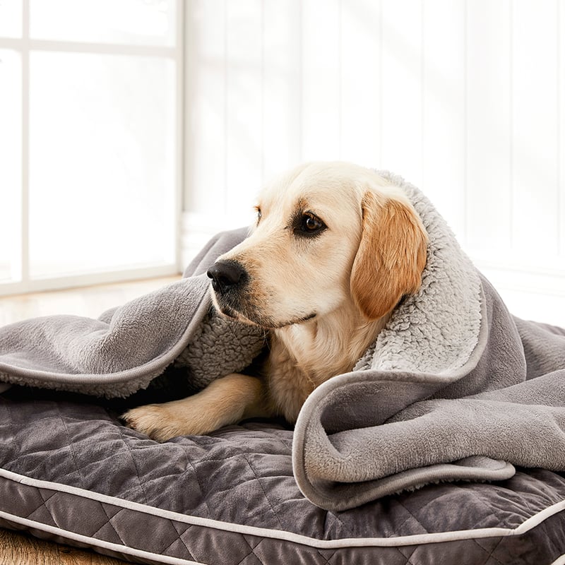 Comfort Collection Ultra Soft Sherpa Blanket Silver