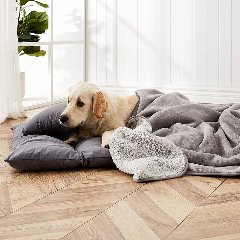 Comfort Collection Ultra Soft Sherpa Blanket Silver