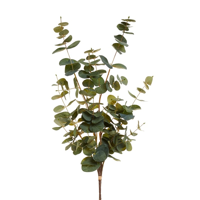 Spring Stems Eucalyptus Green