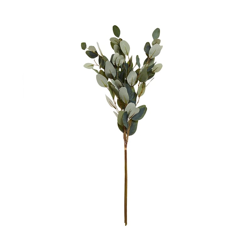 Spring Stems Paris Eucalyptus Green