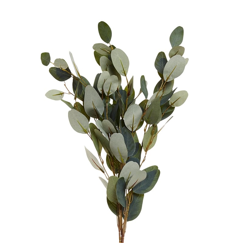 Spring Stems Paris Eucalyptus Green