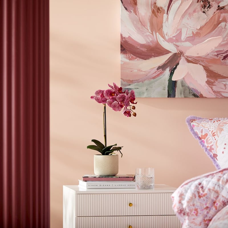 Indian Summer Orchid Collection