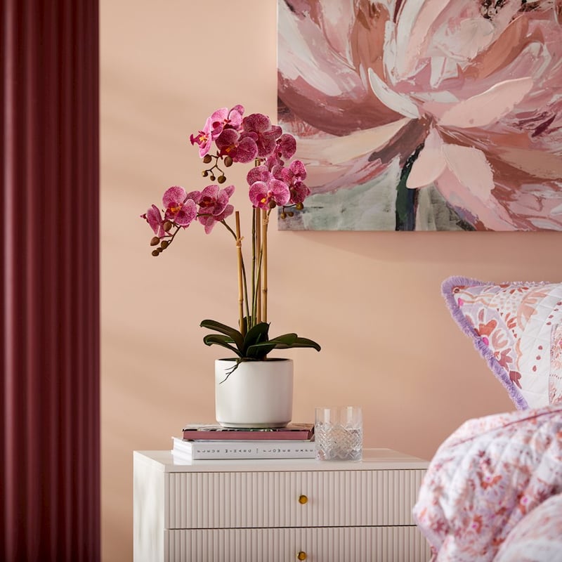 Indian Summer Orchid Collection