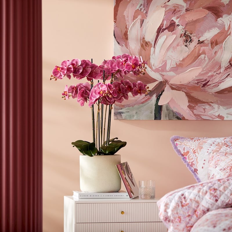 Indian Summer Orchid Collection