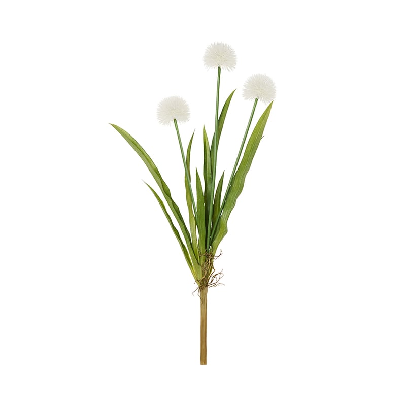 Carter Stem Onion Spray White 