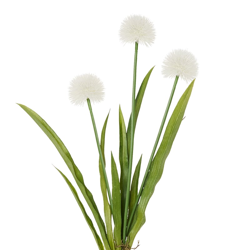 Carter Stem Onion Spray White 