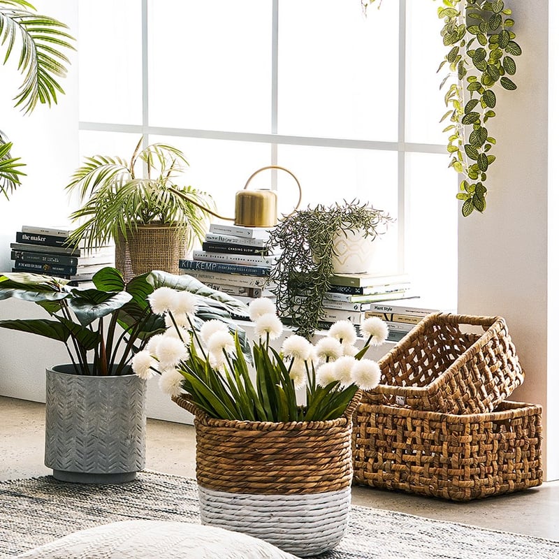 Carter Stem Onion Spray White 