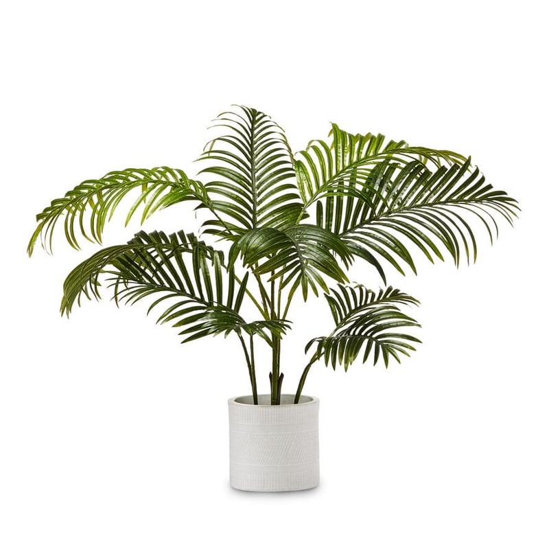Areca Palm Potted Plant 100cm