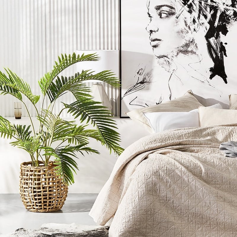 Areca Palm Potted Plant 100cm