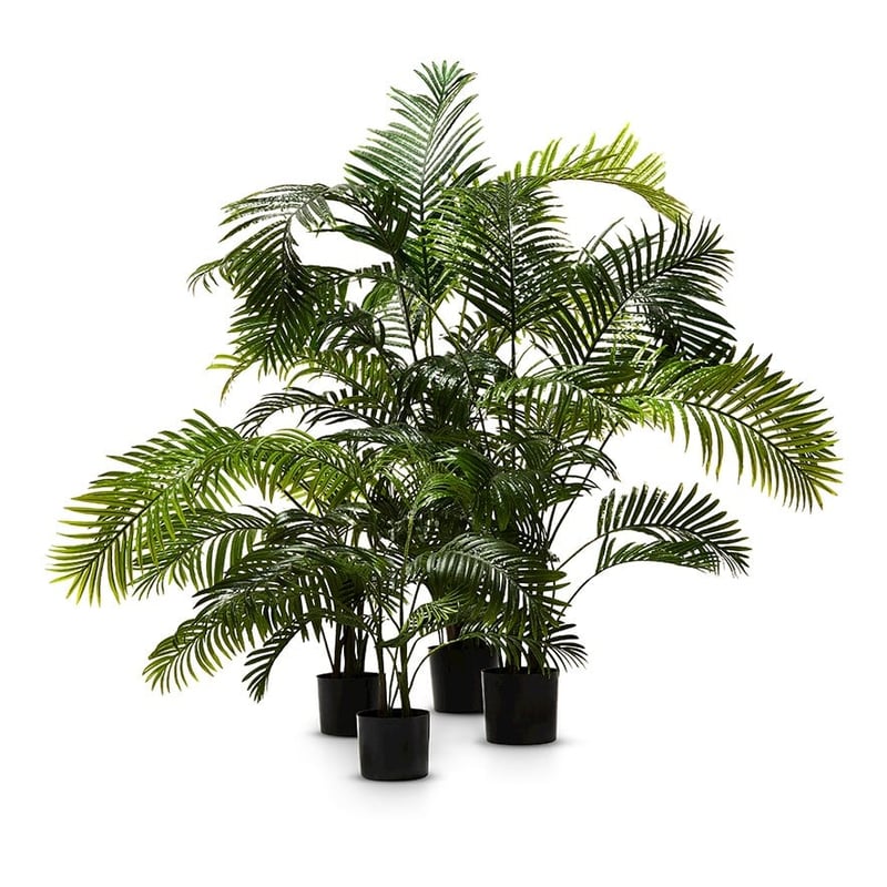 Areca Palm Potted Plant 190cm