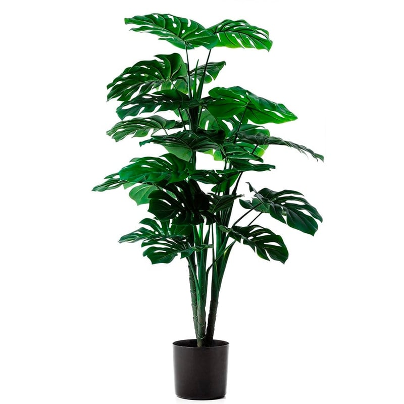 Monstera Potted Plant 120cm
