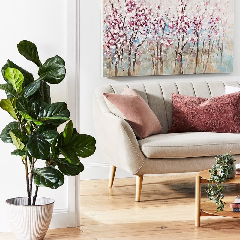 Fiddle Fig Potted Plant 120cm