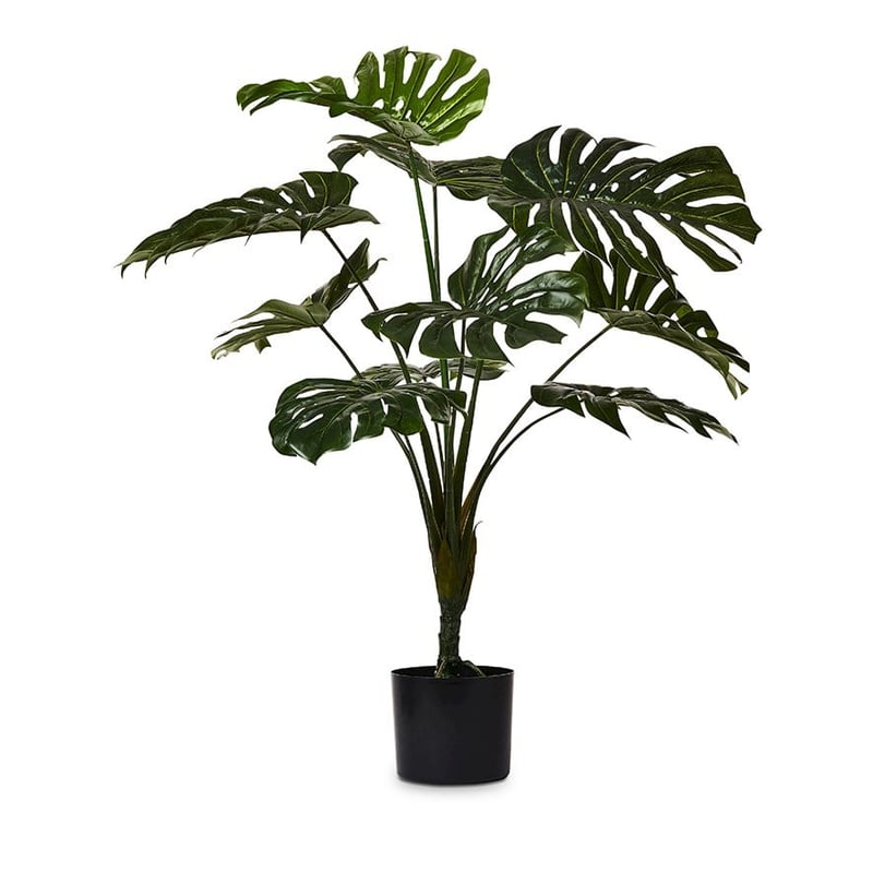 Monstera Potted Plant  90cm