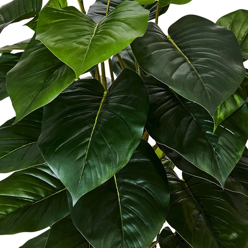 Pothos Standing Potted Plant 120cm 