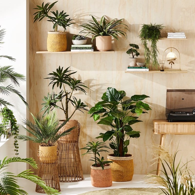 Pothos Standing Potted Plant 120cm 