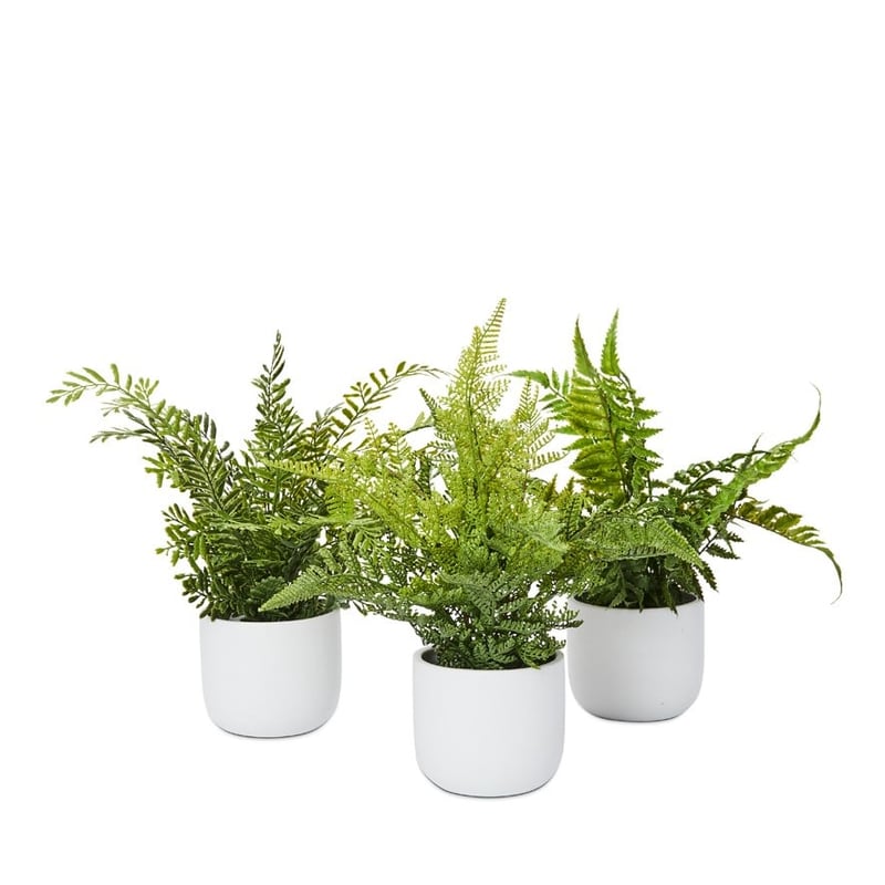 Lennox White & Green Fishbone Potted Fern