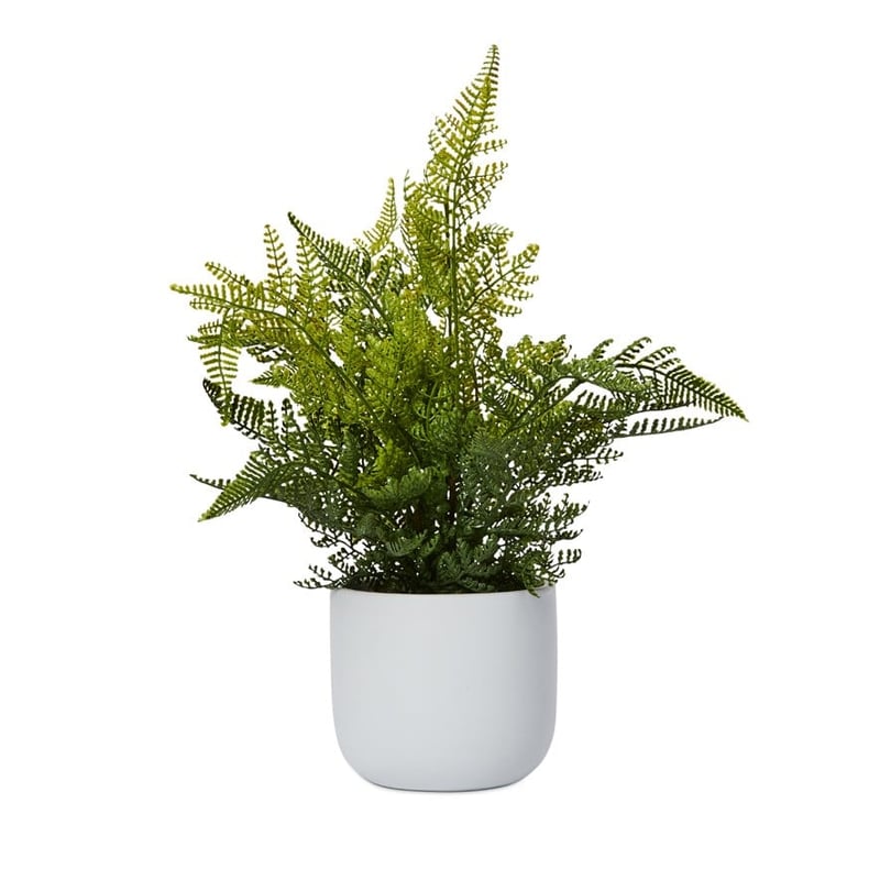 Lennox White & Green Lace Potted Fern