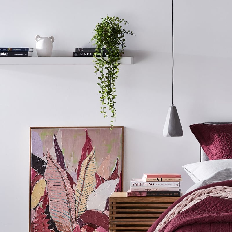 Ashton Hanging Small Coin Fern Green Plant