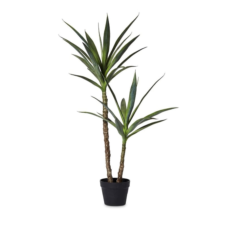 Heneken Potted Plant 110cm