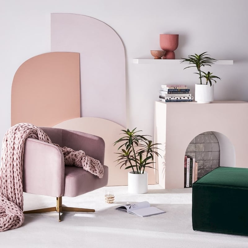 Yucca Small Evergreen Plant