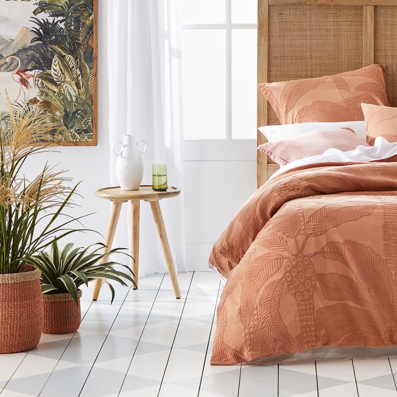 Variegated Green Agave Plant 