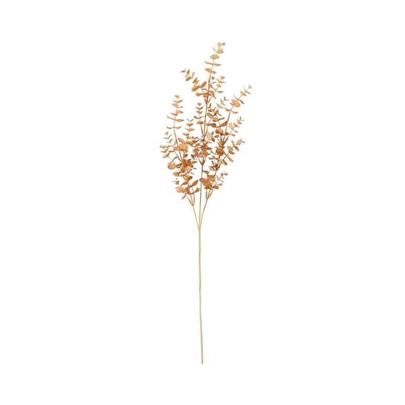 Winter Gold Eucalyptus Stem