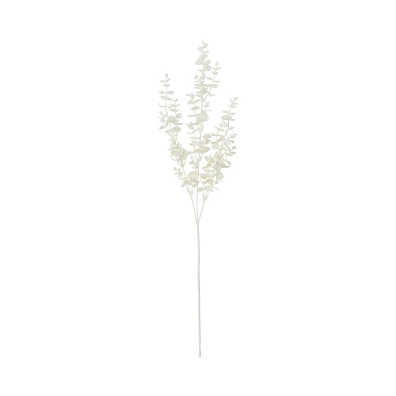 Winter White Eucalyptus Stem