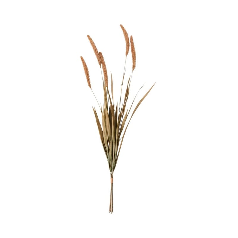 Winter Brown & Green Pampas Stem