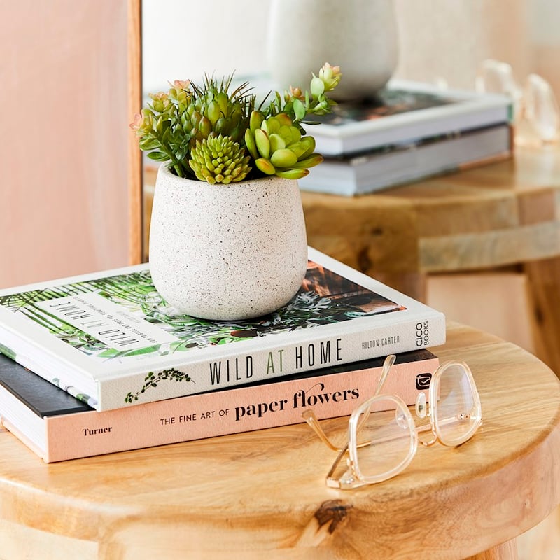 Henan Green Succulent Small Garden 