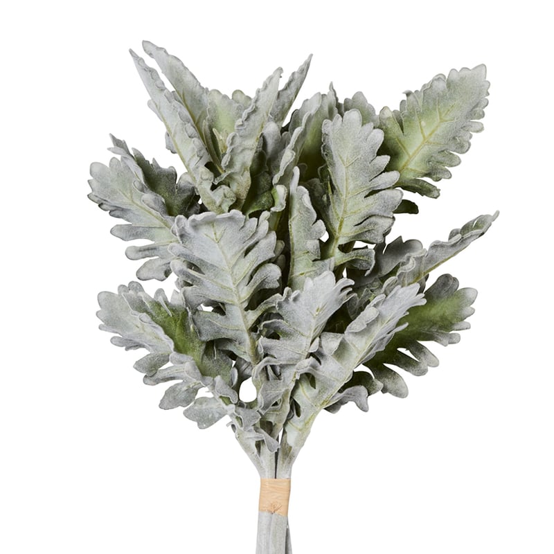 Spring Small Cineraria Leaf Silver Stem