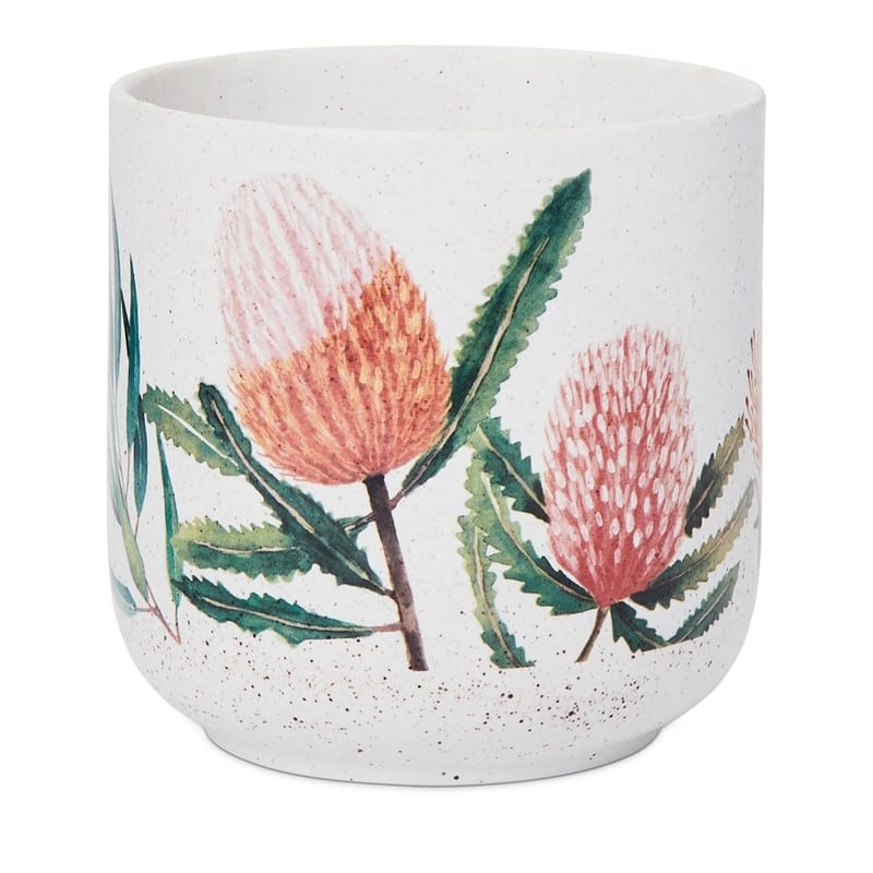 Native Banksia Pot