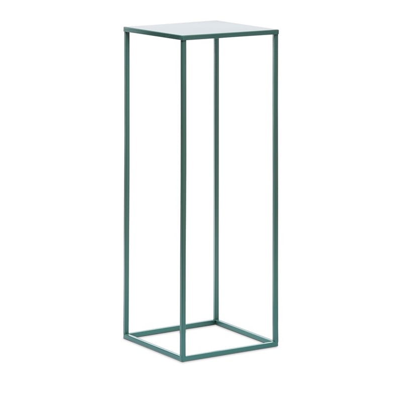 Carlos Forest Plant Stand
