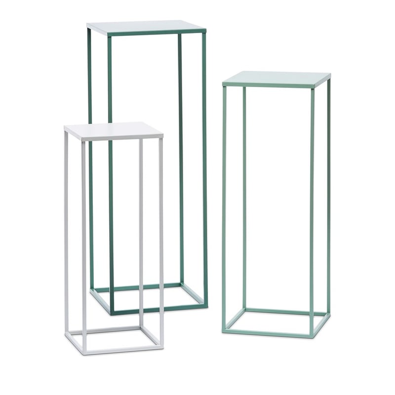 Carlos Forest Plant Stand