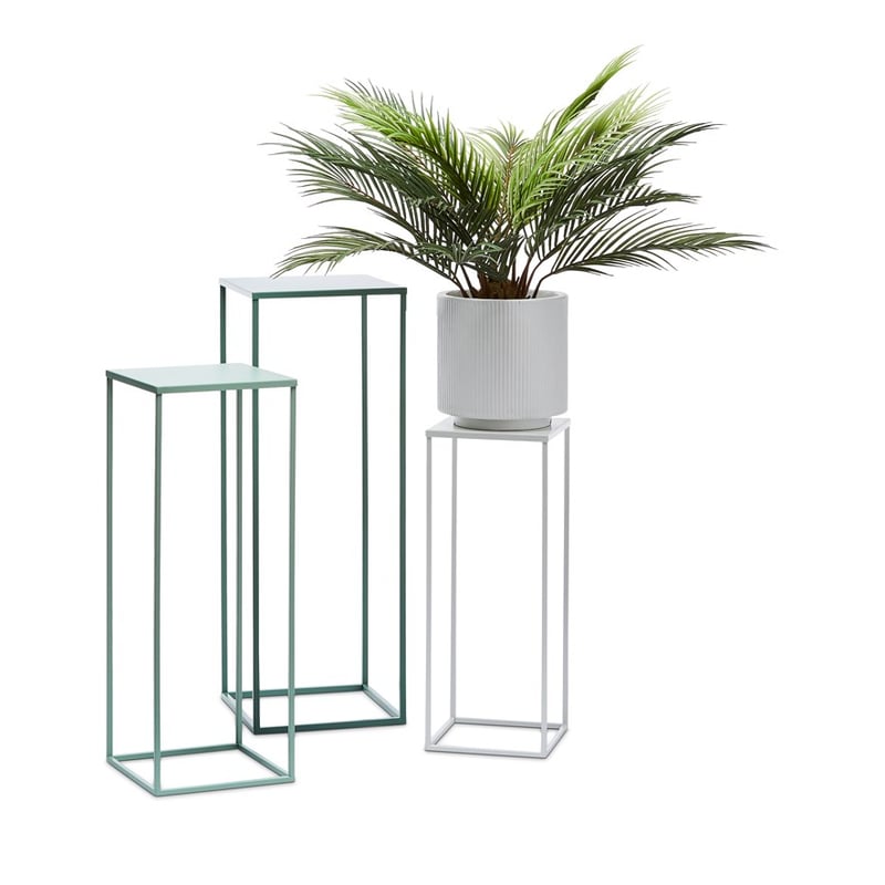 Carlos Forest Plant Stand