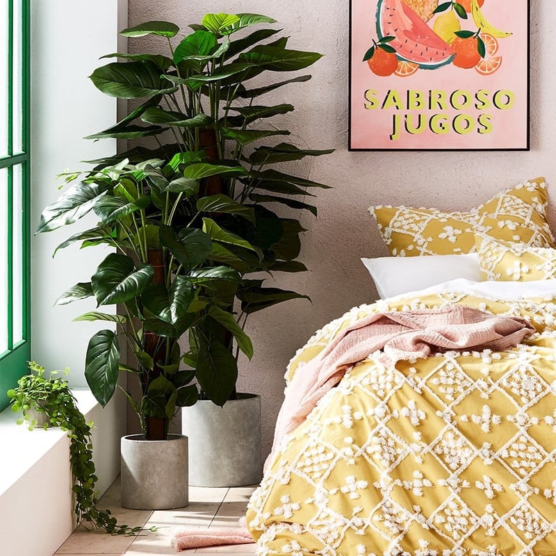 Pothos 120cm Potted Plant