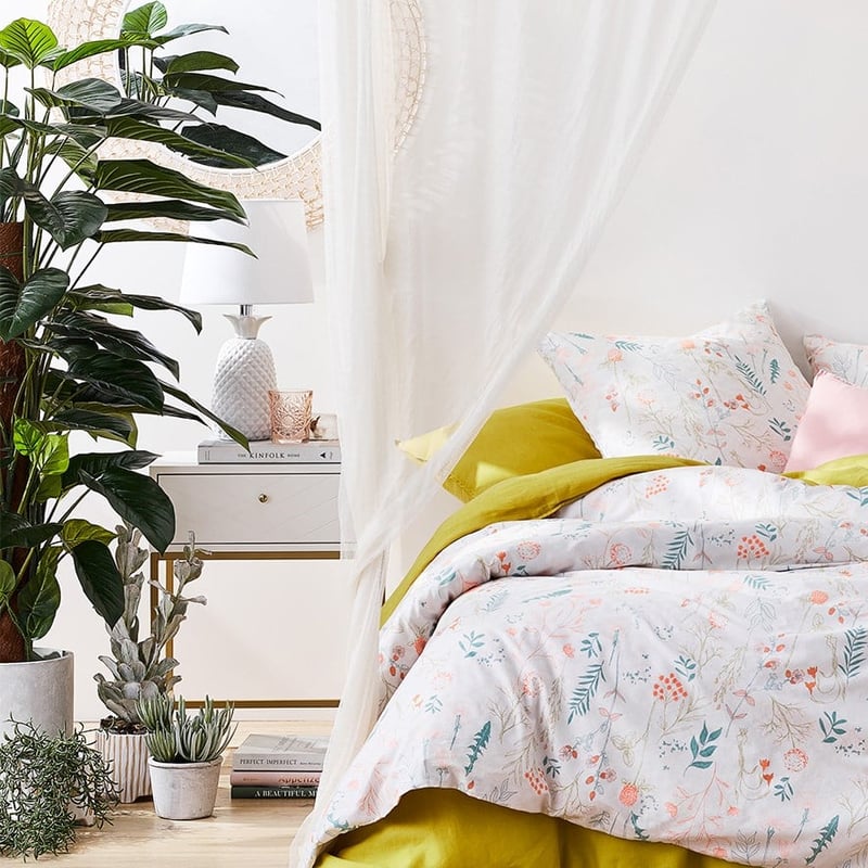 Pothos 150cm Potted Plant