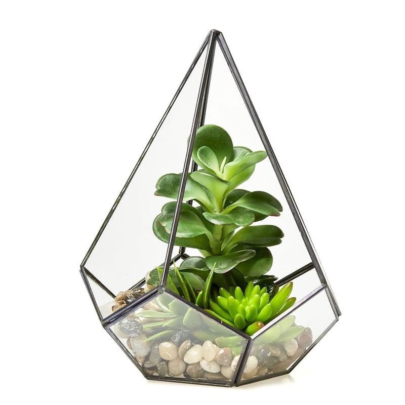 Standing Terrarium
