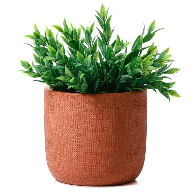 Burnt Orange Madrid Pot