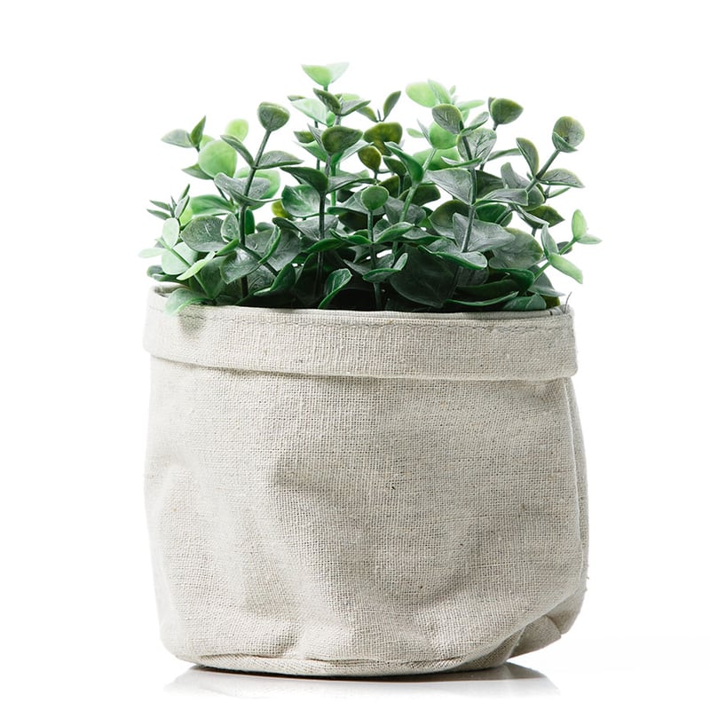 Eucalyptus Leaves in Hessian Pot
